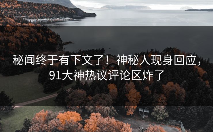 秘闻终于有下文了！神秘人现身回应，91大神热议评论区炸了